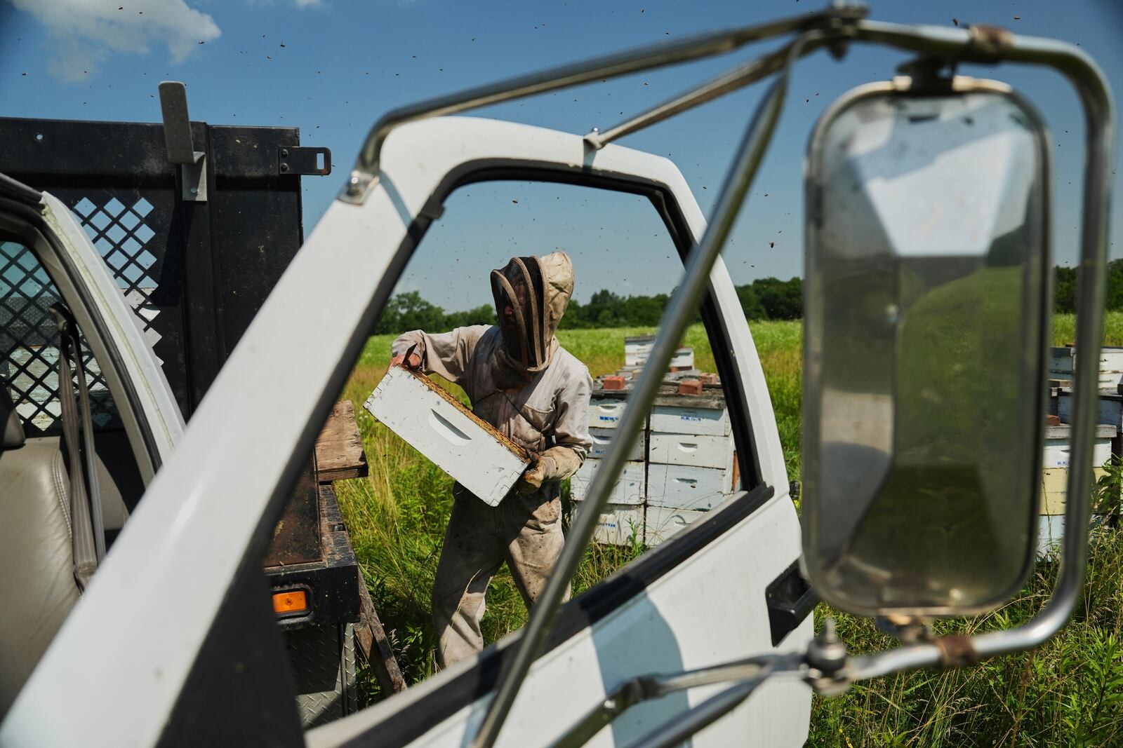 Isaac Barnes places a full honeycomb onto the back of his truck Tuesday, June 24, 2025, in Williamsport, Ohio. (AP Photo/Joshua A. Bickel)