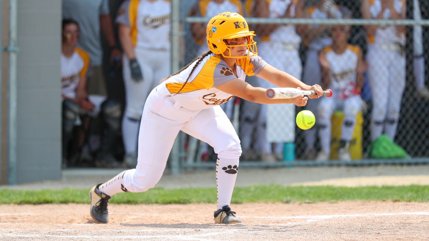 kr softball