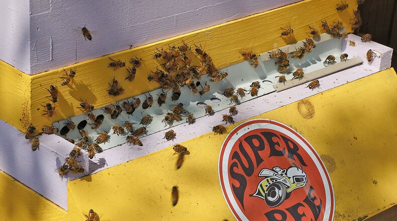 The bees fly in and out of Stephen Chirico’s bee hive in his backyard along South Fourntain Avenue. Bill Lackey/Staff