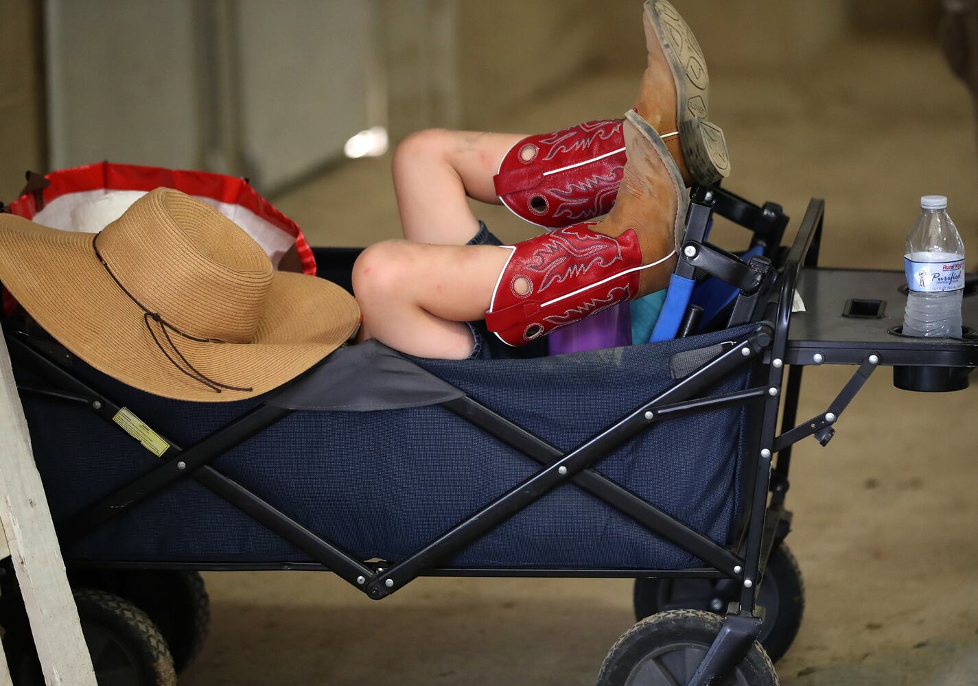85 PHOTOS: 2019 Clark County Fair