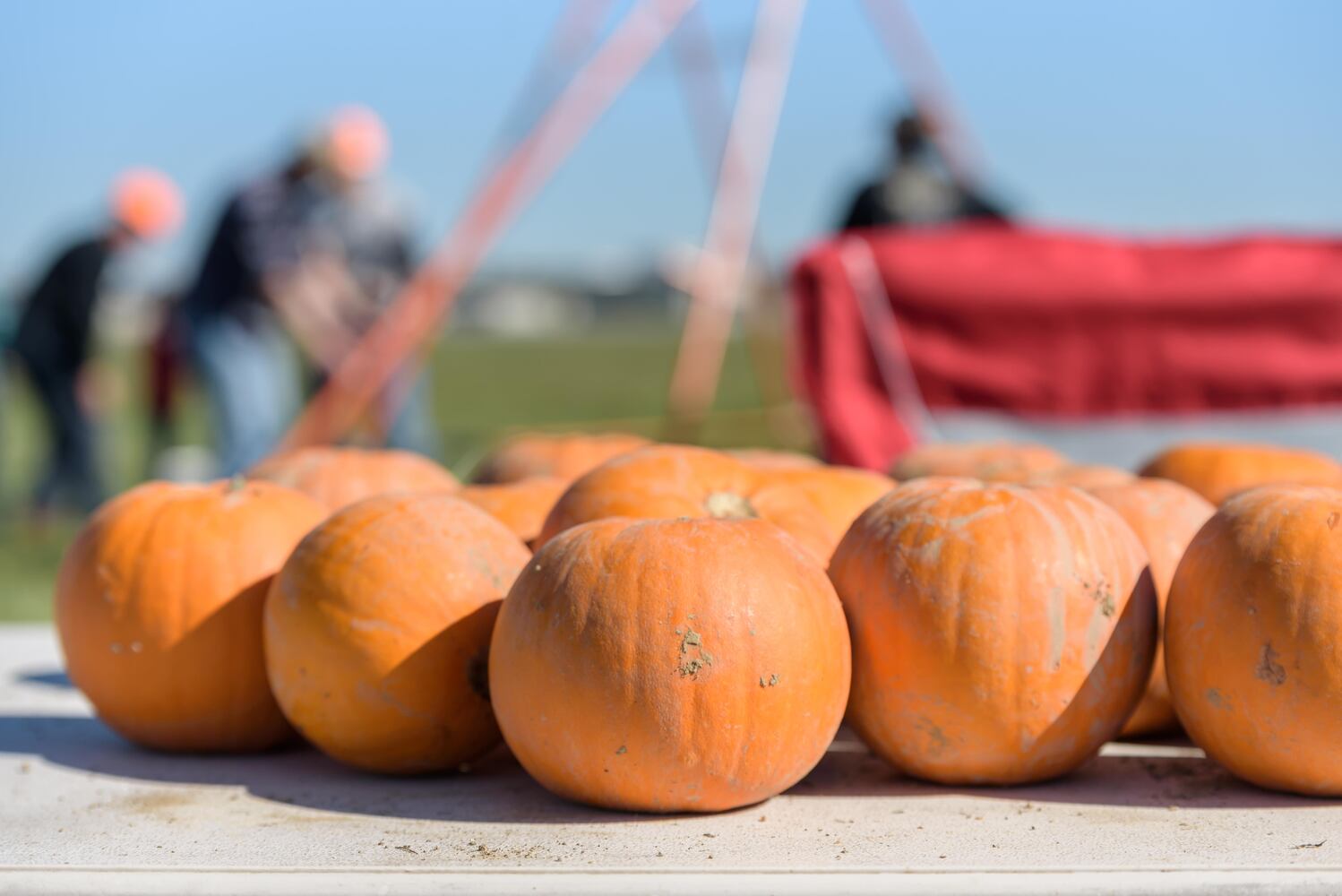 PHOTOS: 2024 WPAFB Pumpkin Chuck at National Museum of the U.S. Air Force