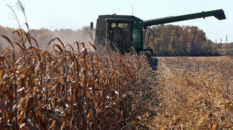 Bob Suver harvests his corn crop Wednesday along Detrick-Jordan Pike near New Carlisle. Even during a growing season when 1.5 million fewer acres of soybeans and corn were planted in Ohio, average farm incomes in the state are likely to increase compared to last year, according to an agricultural economist with The Ohio State University. BILL LACKEY/STAFF