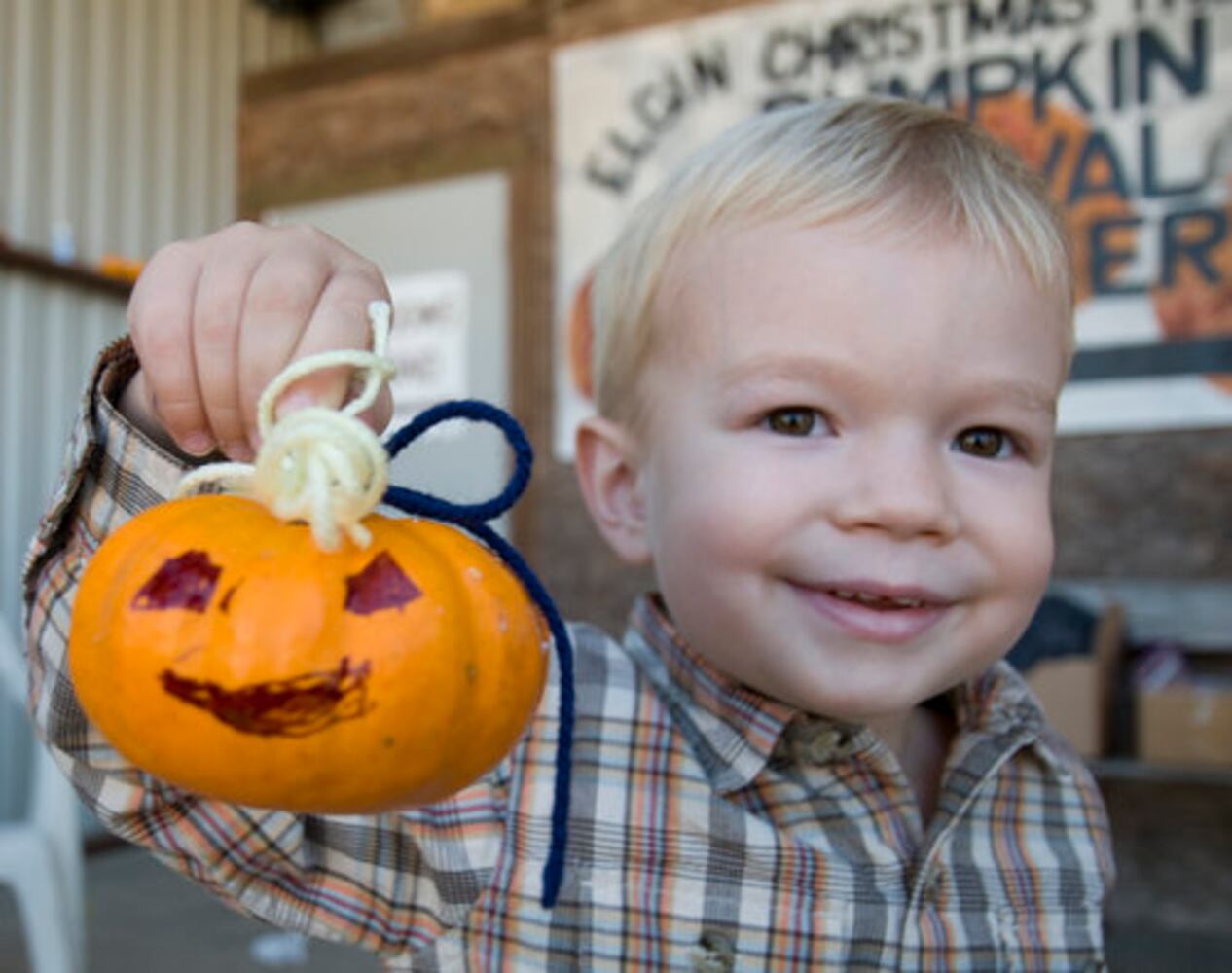 Elgin pumpkin patch, 10.23.10