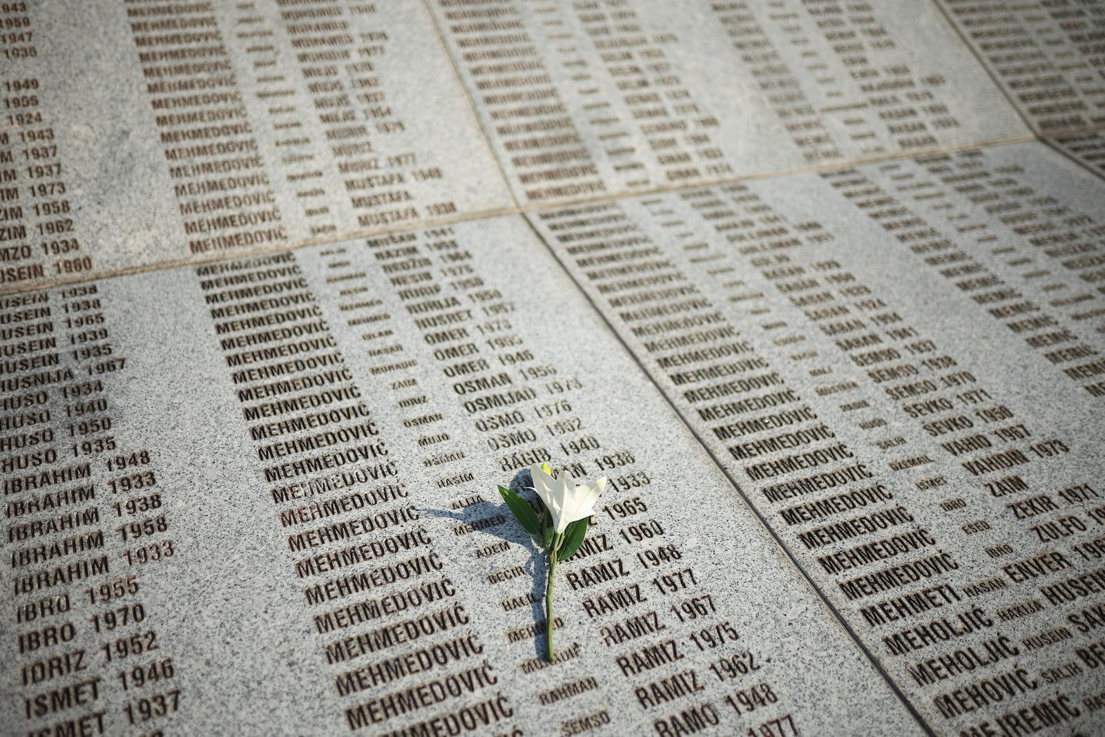 A flower is seen on a monument with the names of those killed in Srebrenica genocide, at the Memorial Center in Potocari, Bosnia, Friday, July 11, 2025. (AP Photo/Armin Durgut)