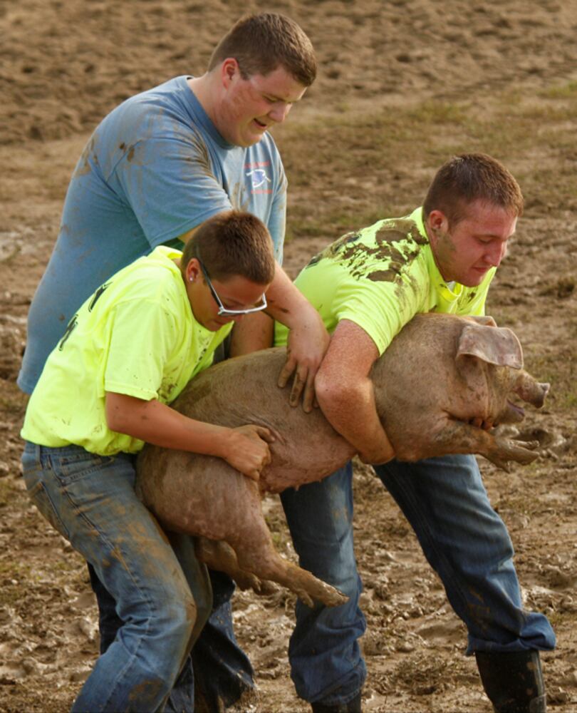 Clark County Fair - Kiddie Pig Chase