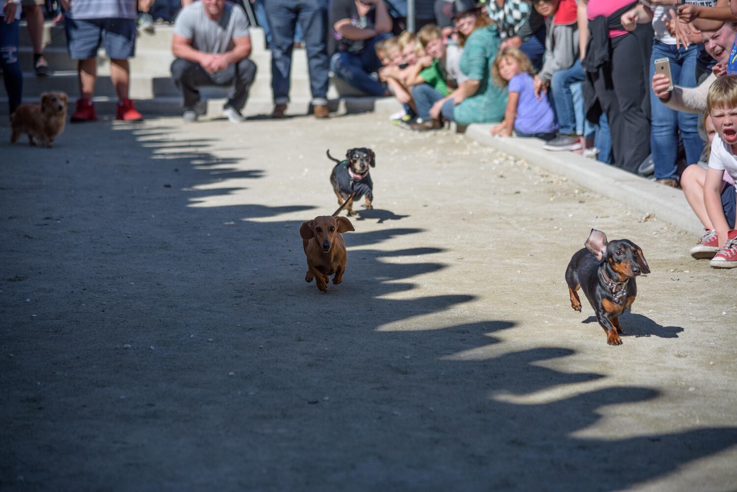 PHOTOS: Did we spot you keeping the Oktoberfest celebrations going this weekend?