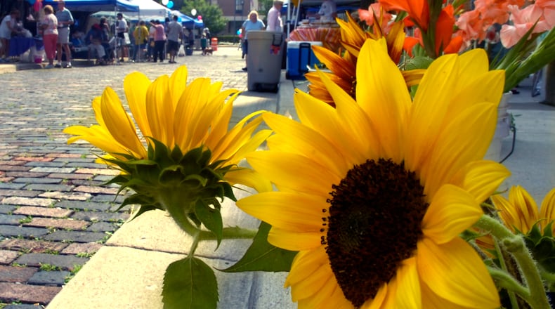 Fresh cut flowers, for sale at a vendors booth, add a splash of color to the Springfield Farmers Market.
