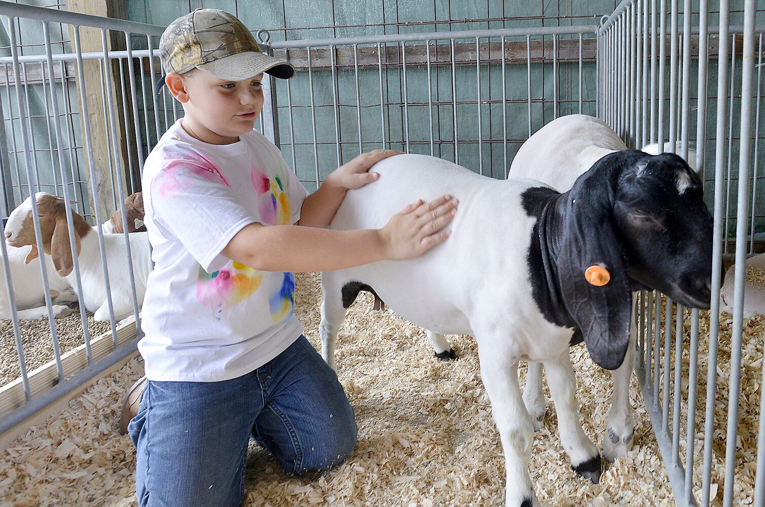 Champaign County Fair Opening Day