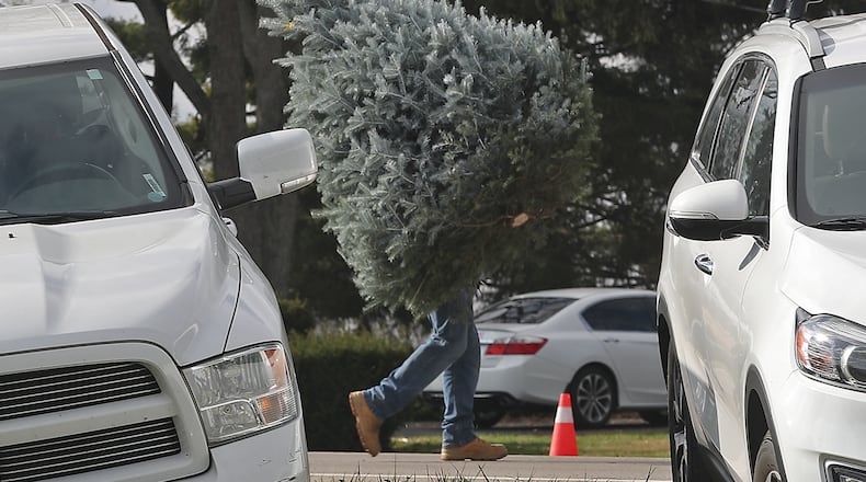 A customer carries the tree they just cut to their car at Carl & Dorothy Young's Christmas Tree Farm on Nov. 27. Residents in Clark and Champaign counties have several options for disposing of their live Christmas trees. BILL LACKEY/STAFF
