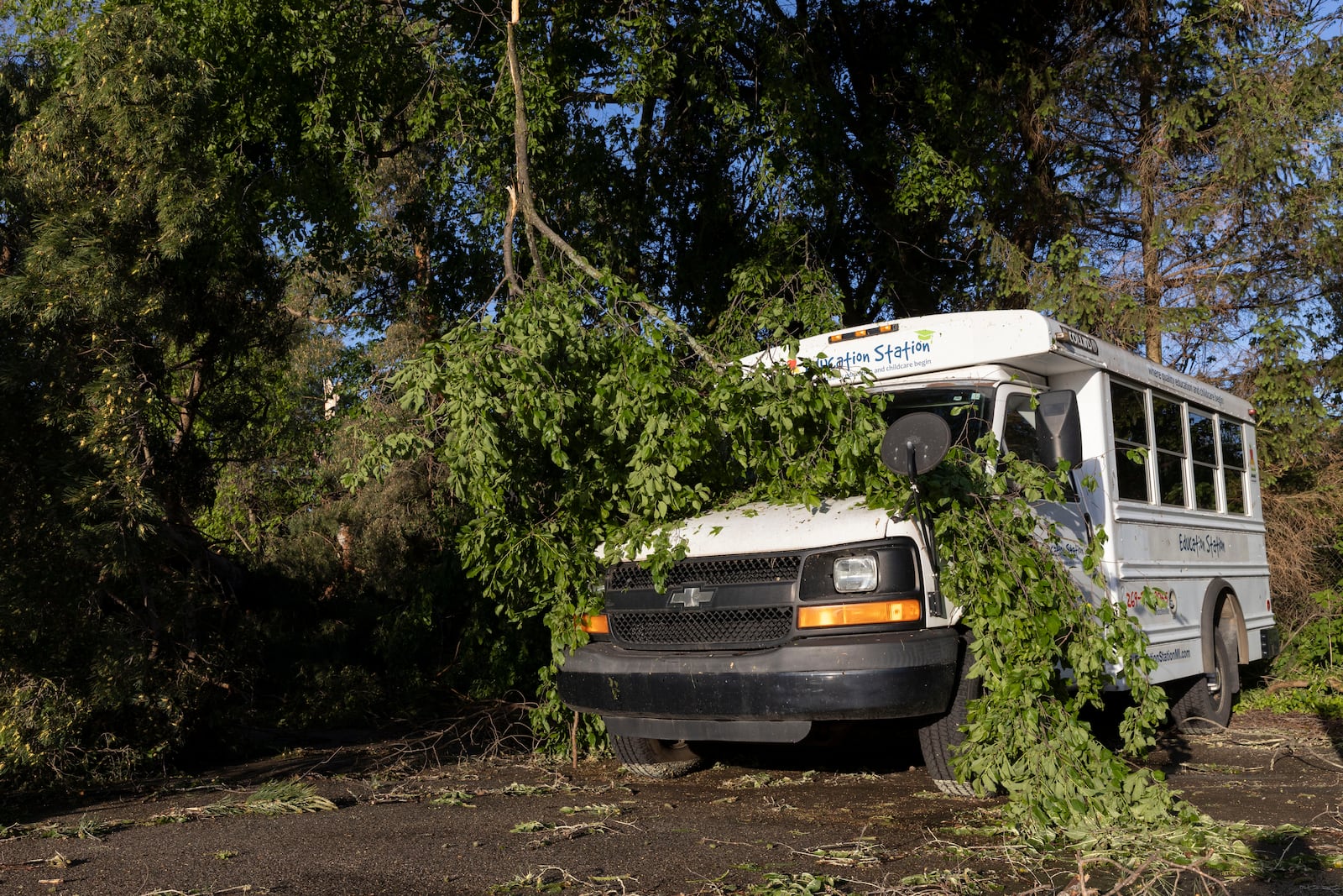 A tree branch covers a bus in Dorr, Mich., after a severe storm ripped across Michigan the night before, on Friday, May 16. 2025. (Neil Blake /The Grand Rapids Press via AP)