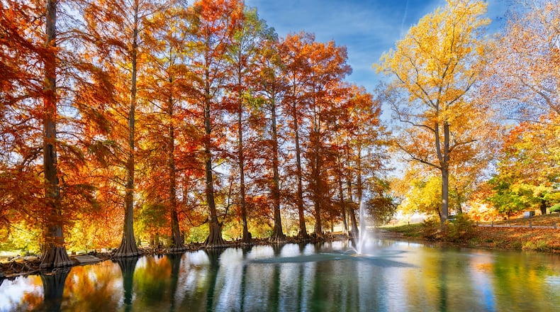 Ferncliff Cemetery & Arboretum, 501 W. McCreight Ave., was one of seven cemeteries in Ohio to receive the 2025 Scenic Ohio Award. Contributed