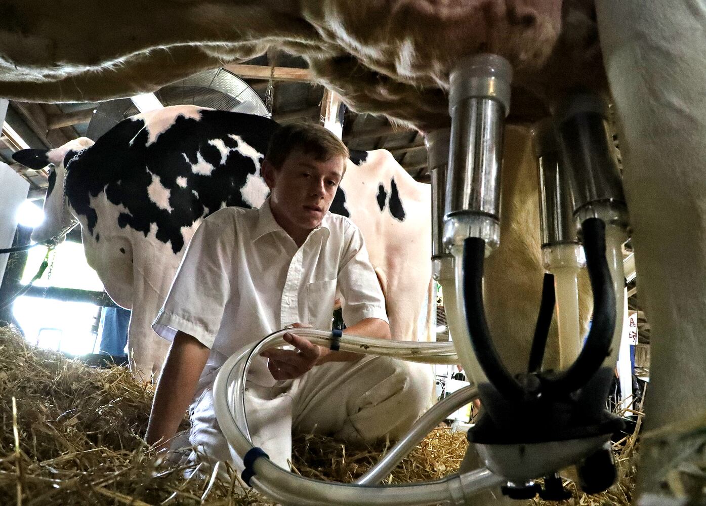 2018 Champaign County Fair - Monday
