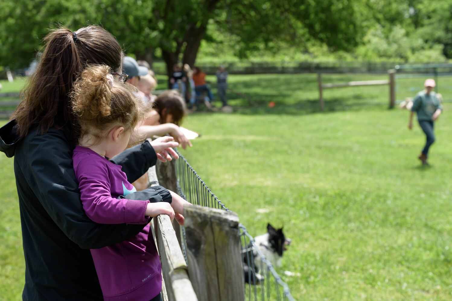 PHOTOS: Wooly Wonders - Spring on the Farm Family Event at Learning Tree Farm