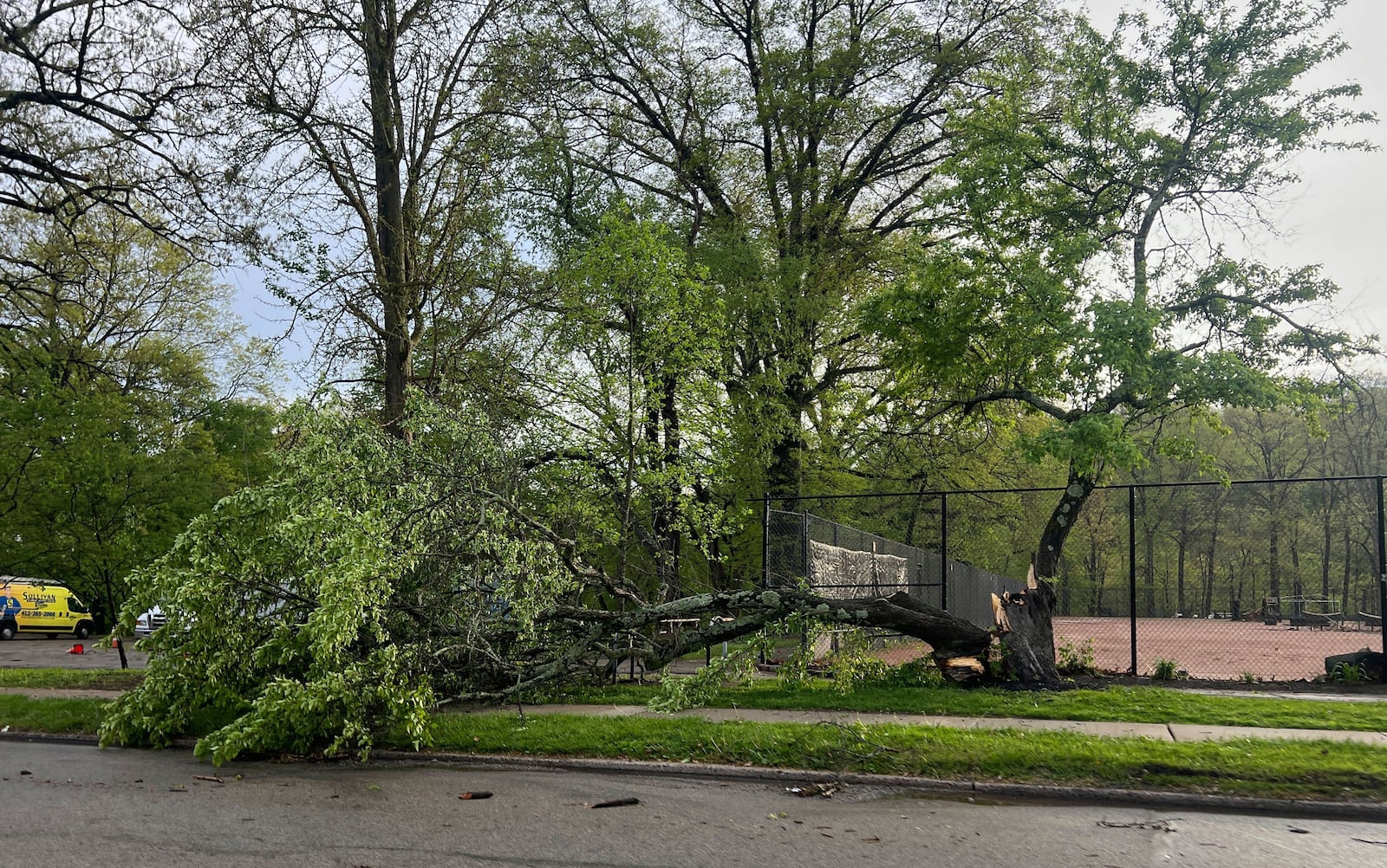 Fallen trees from the stormy weather in Regent Square in Pittsburgh, Tuesday, April 29, 2025. (Samara McCallum/Pittsburgh Post-Gazette via AP)