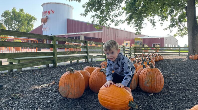 Henry Petty of Urbana plays with the pumpkins at Young’s Jersey Dairy. PHOTO BY NATALIE JONES