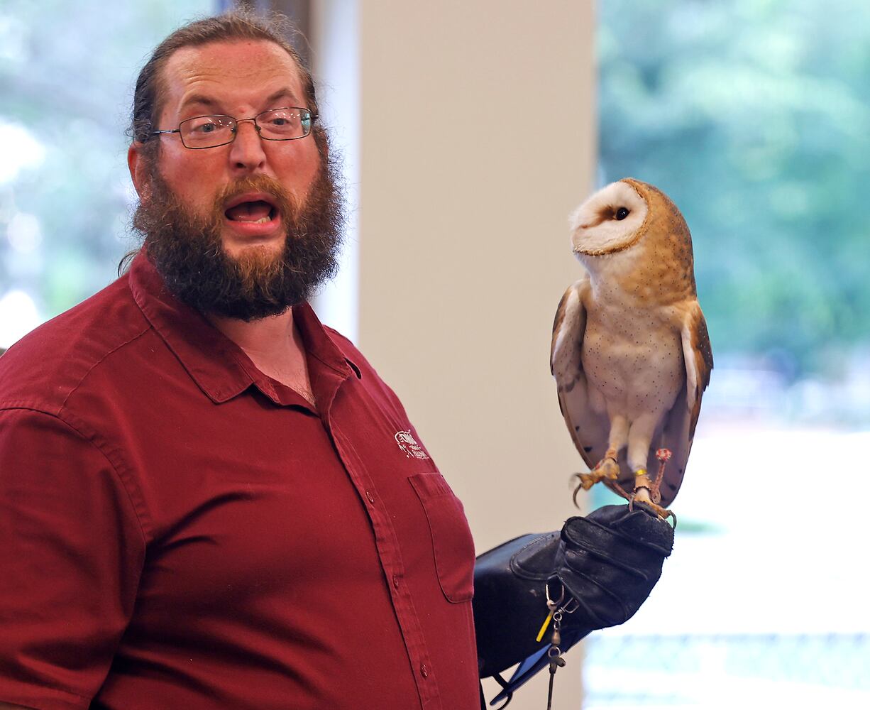 Library Falconry SNS