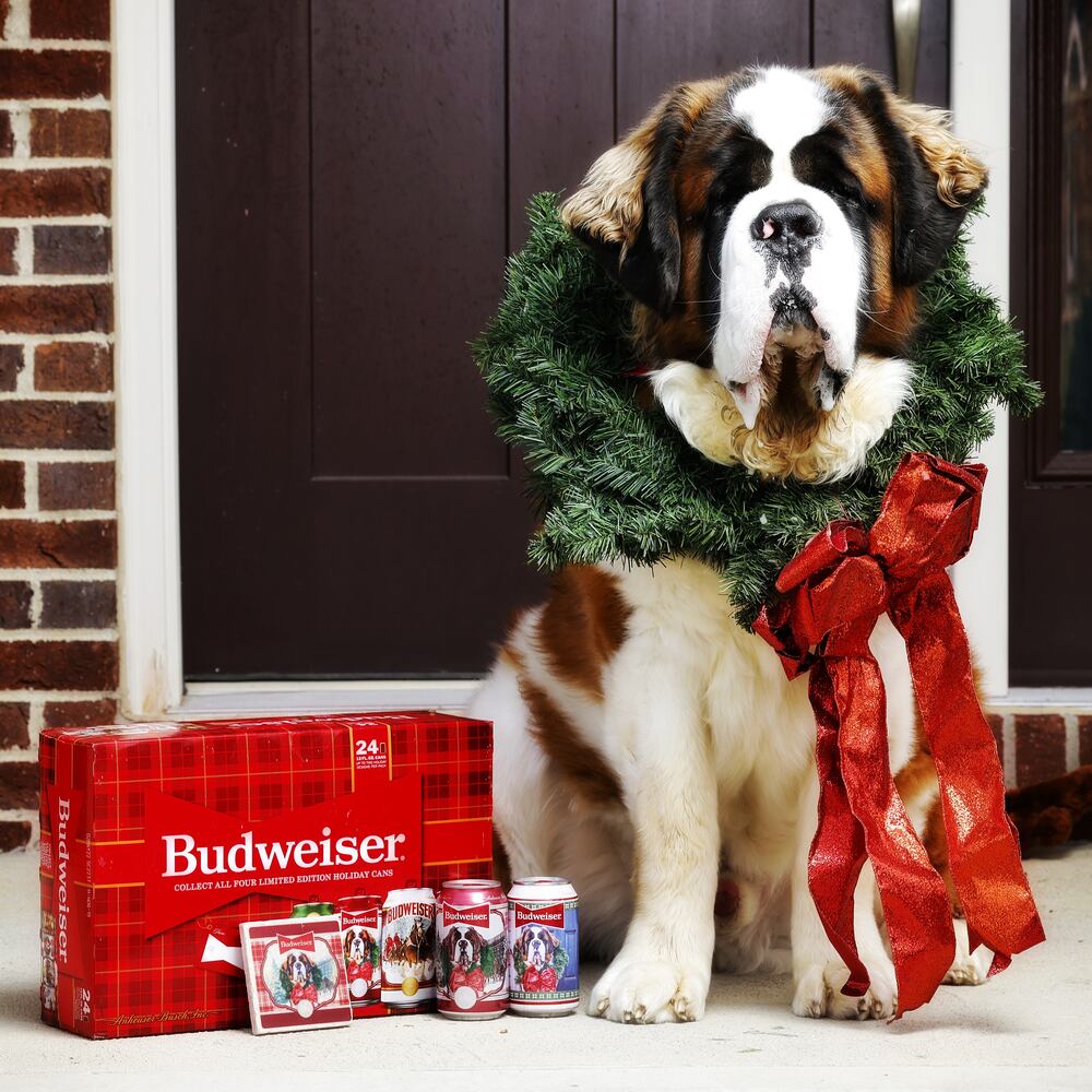 111821 beer dog