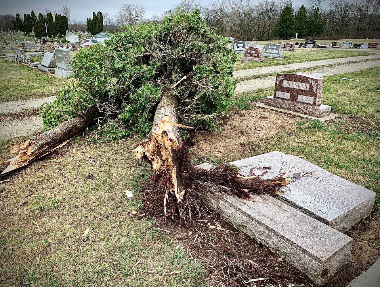 Cemetery damage, Bradford