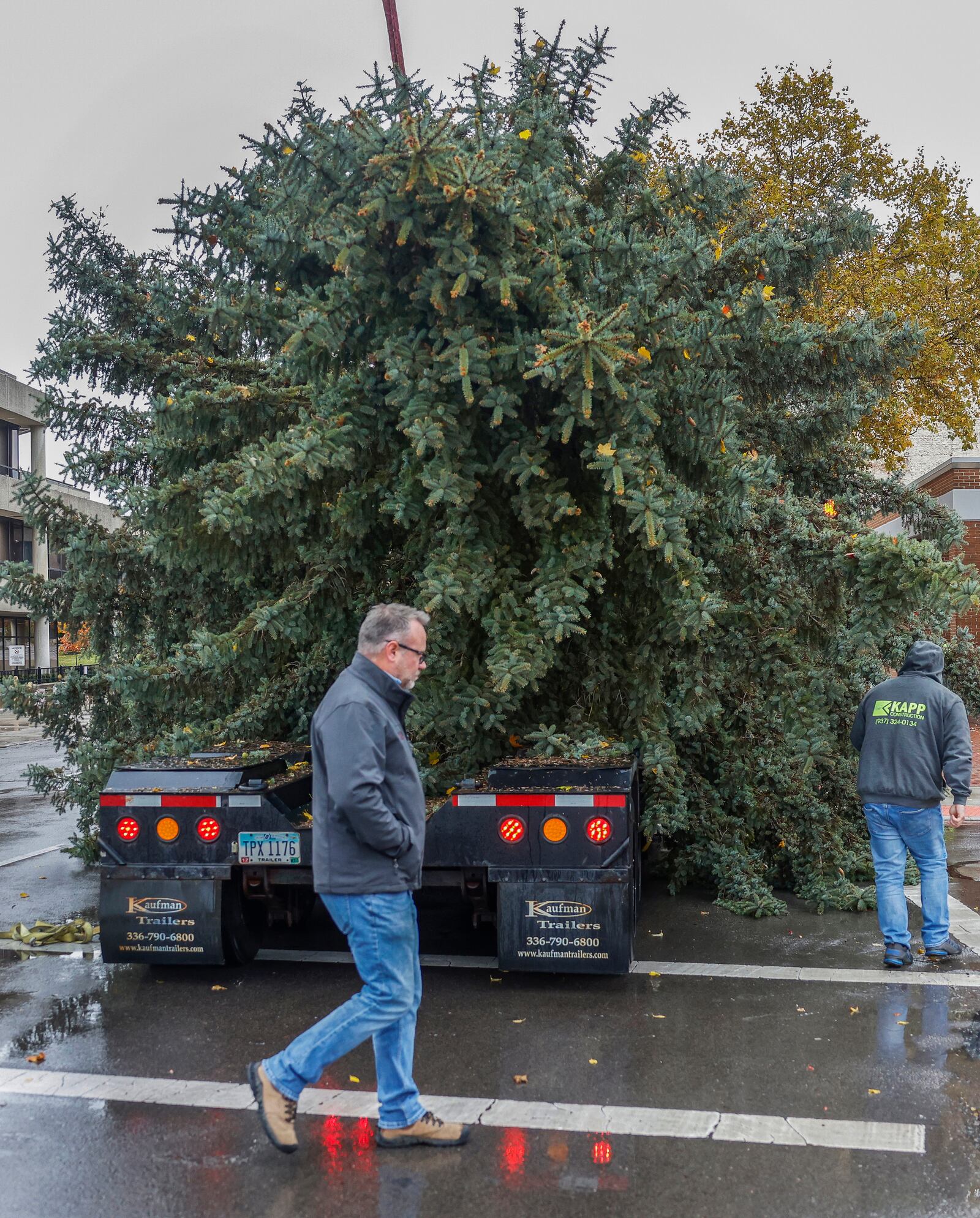 A construction crew works to put a Christmas tree up  on Friday, November 7, 2025, in downtown Springfield. JOSEPH COOKE/STAFF
