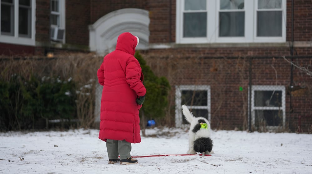A person stays bundled as they walk their dog on a cold Wednesday, Jan. 21, 2026, in Chicago. (AP Photo/Erin Hooley)