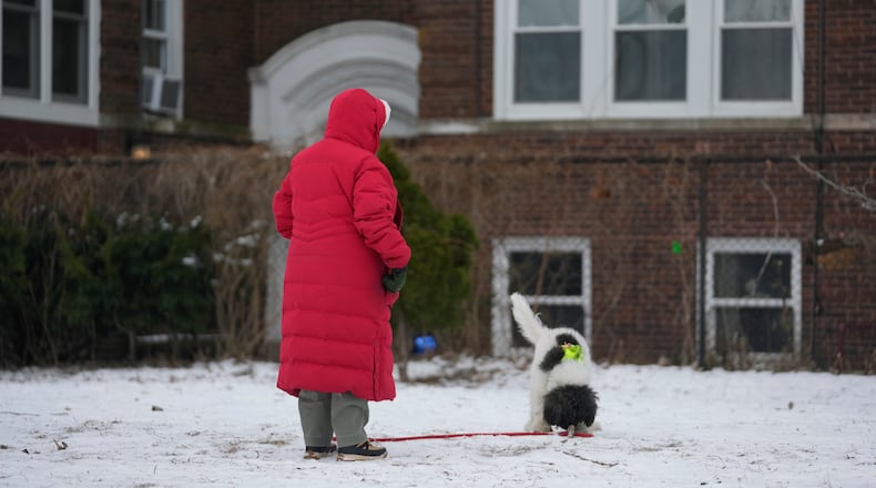A person stays bundled as they walk their dog on a cold Wednesday, Jan. 21, 2026, in Chicago. (AP Photo/Erin Hooley)