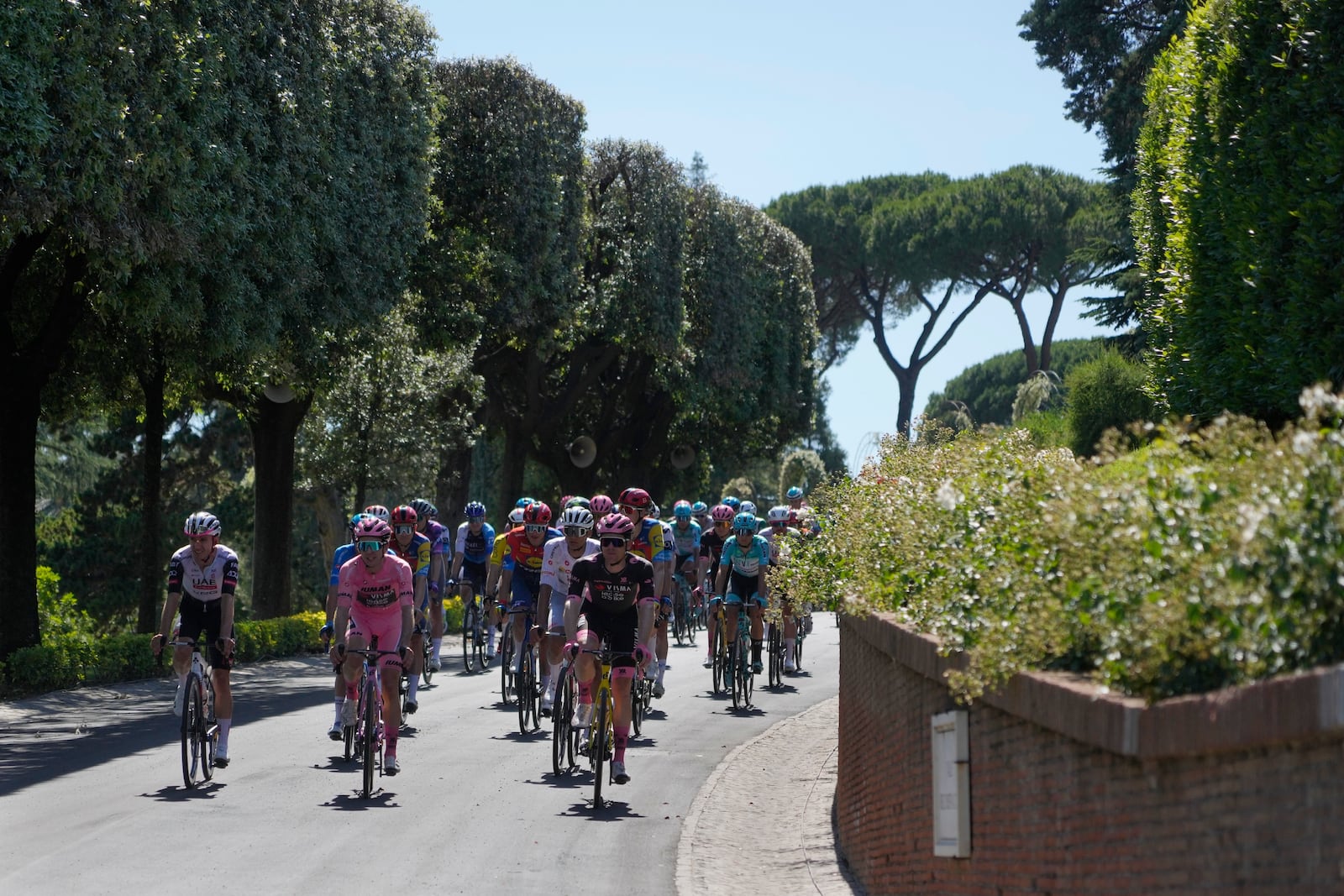 Britain's Simon Yates, center, in the pink jersey, leads the pack during a ceremonial lap inside the Vatican before the start of the final stage of the Giro d'Italia, Sunday, June 1, 2025. (AP Photo/Gregorio Borgia)