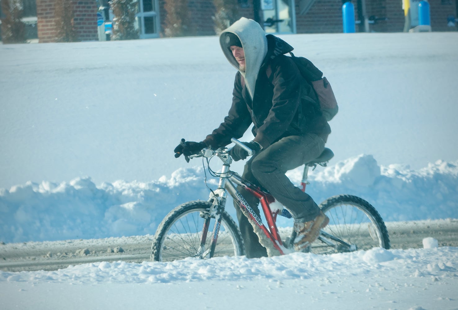 Snow in Springfield after Jan. 24-25, 2026 storm