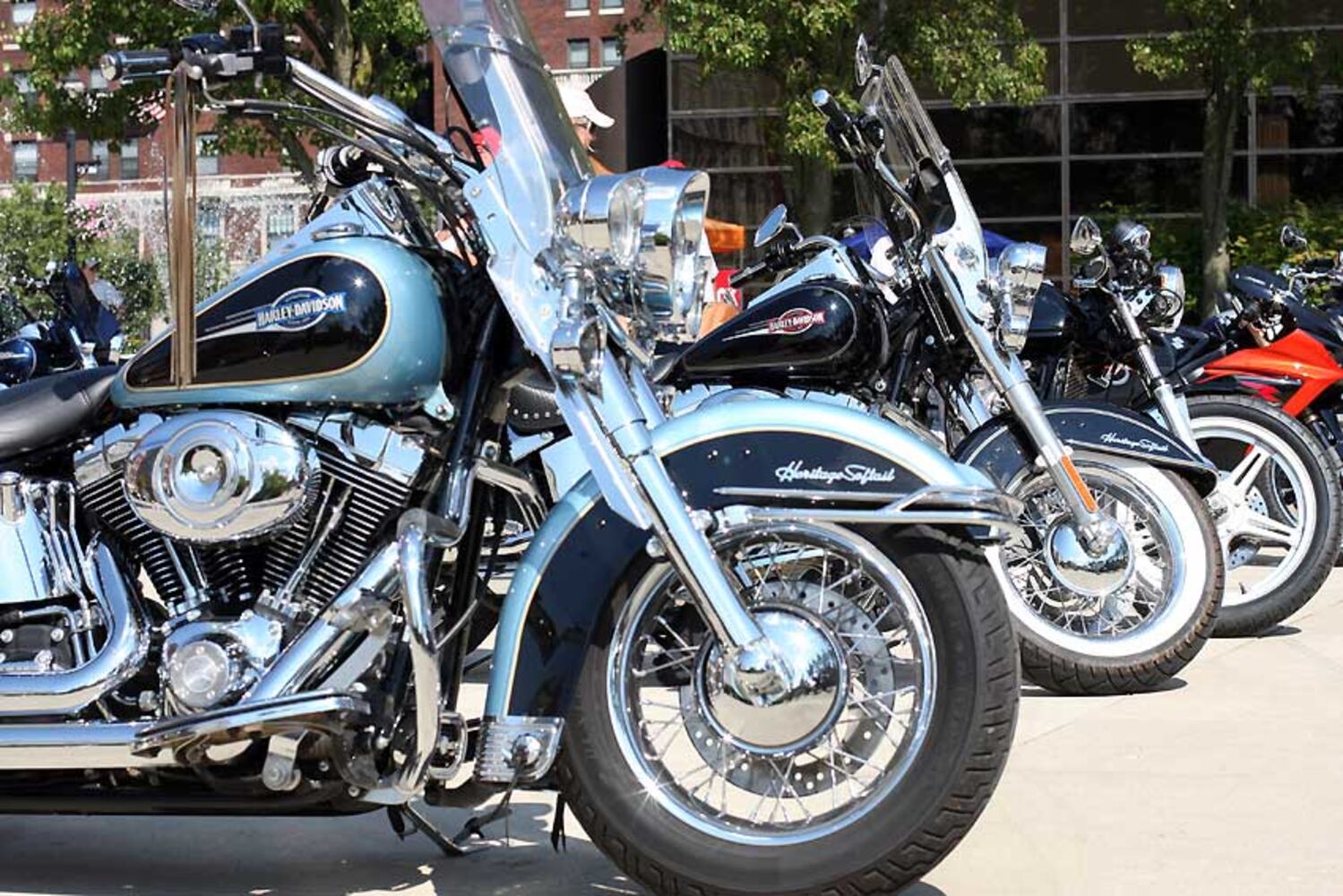 Hotrod's and Harley's