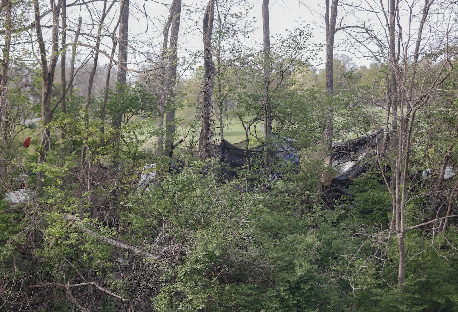 A homeless encampment in the woods on Tuesday, April 22, 2025, at Snyder Park. This site has since been cleaned up by the city. JOSEPH COOKE/STAFF