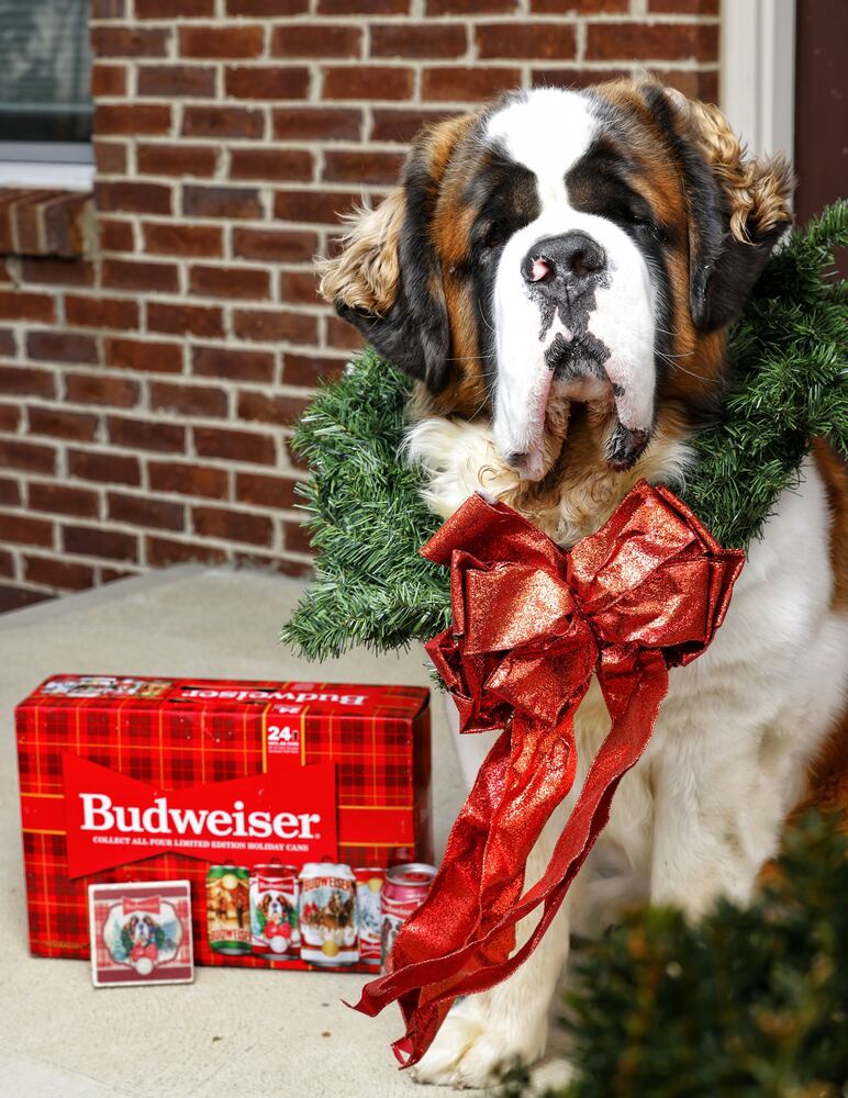 111821 beer dog