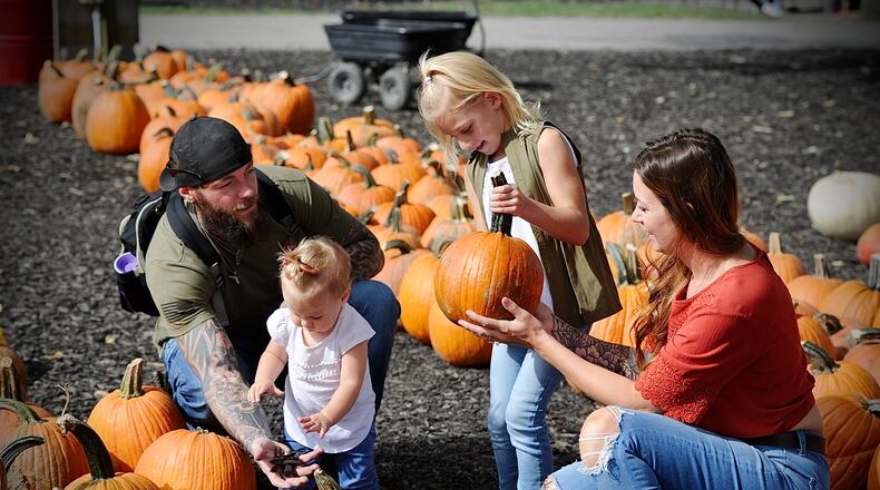 The Bair family of South Vienna, from left, Lee, Annie Mae, 14 months, Ava, 7, and Laura shop for pumpkins at Young’s Jersey Dairy on Oct. 13. MARSHALL GORBY / STAFF
