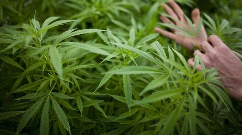 Springfield commissioners on Wednesday July 5, 2017, extended its moratorium through September on medical marijuana businesses in the city.