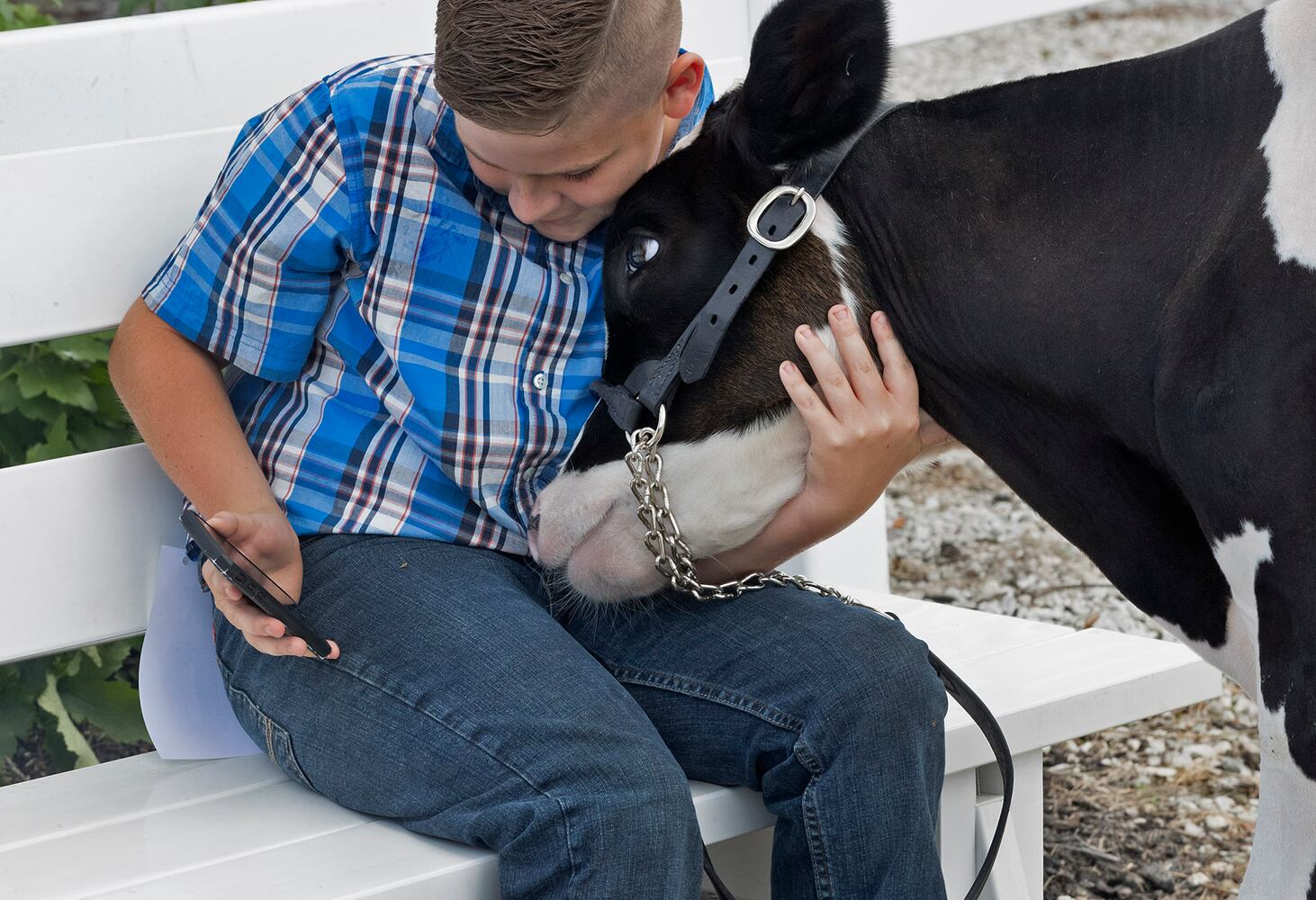 Champaign County Fair
