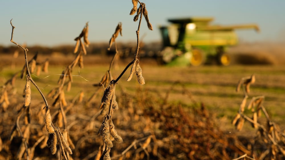 FILE - Austin Rohlfing harvests soybeans on his family's field, Nov. 5, 2025, near Boonville, Mo. (AP Photo/Charlie Riedel, File)