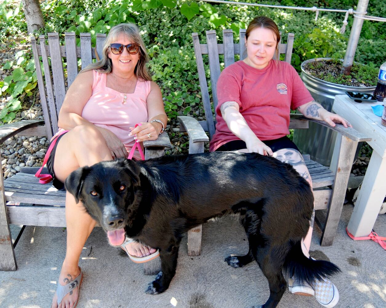 Did we spot you at the Springfield Jazz and Blues Fest?