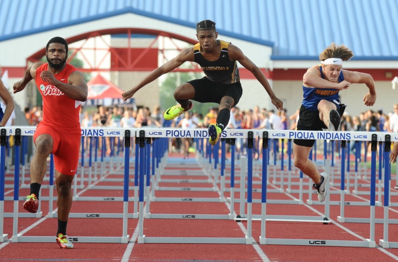 D2trackgallery