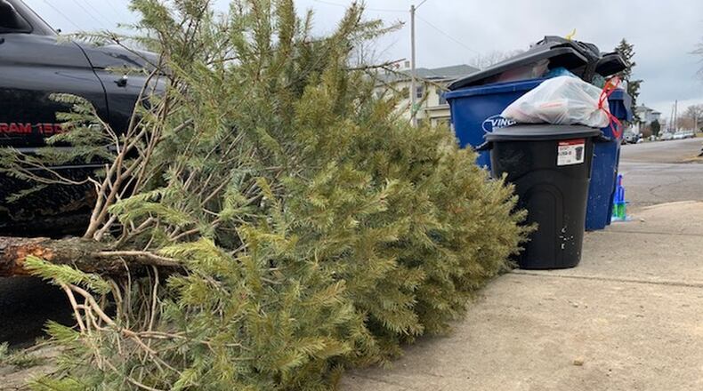 Local trash haulers will pick-up live Christmas trees at the curb for disposal with regular trash through January.