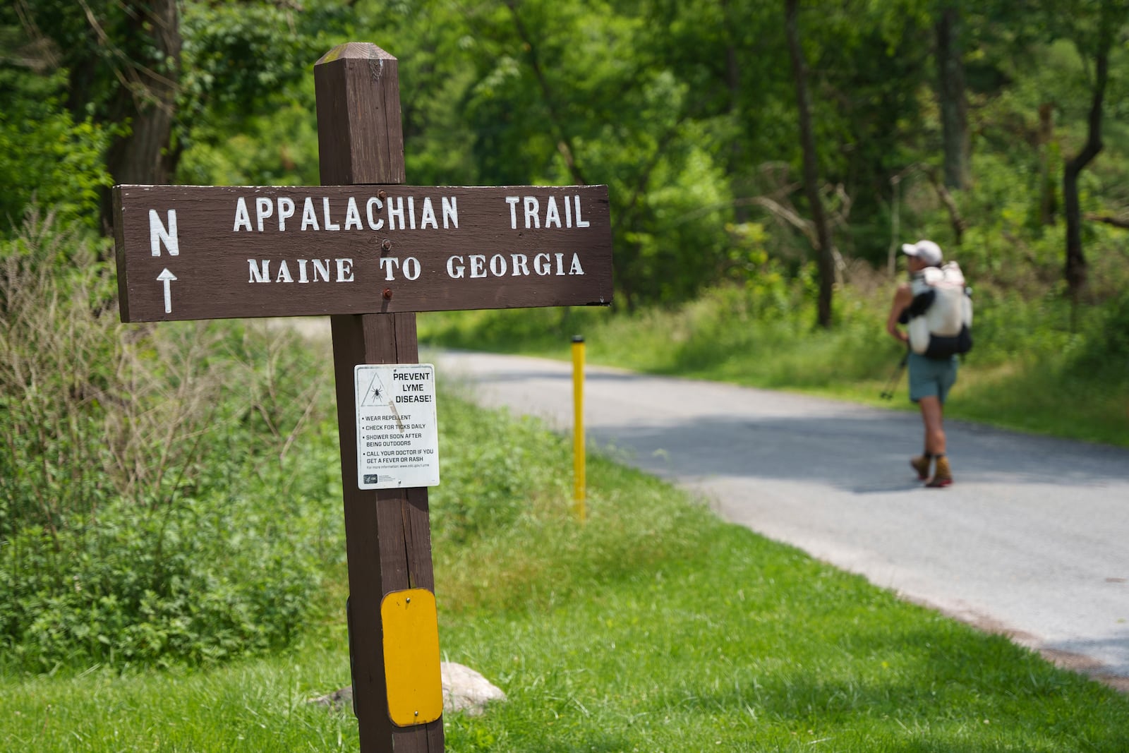 Appalachian Trail thru-hiker Noritaka Mizumoto, from Osaka, Japan, walks the Appalachian Trail at Pine Grove Furnace State Park in Pennsylvania on Tuesday, June 10, 2025. (AP Photo/Mingson Lau)