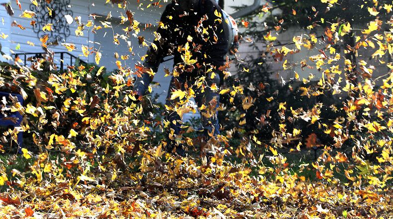 Doug Clowell, an employee of Smith & Sons Lawn and Landscaping, takes advantage of the sunny weather Nov. 5 to clean up some leaves in a Springfield customer's yard. BILL LACKEY/STAFF