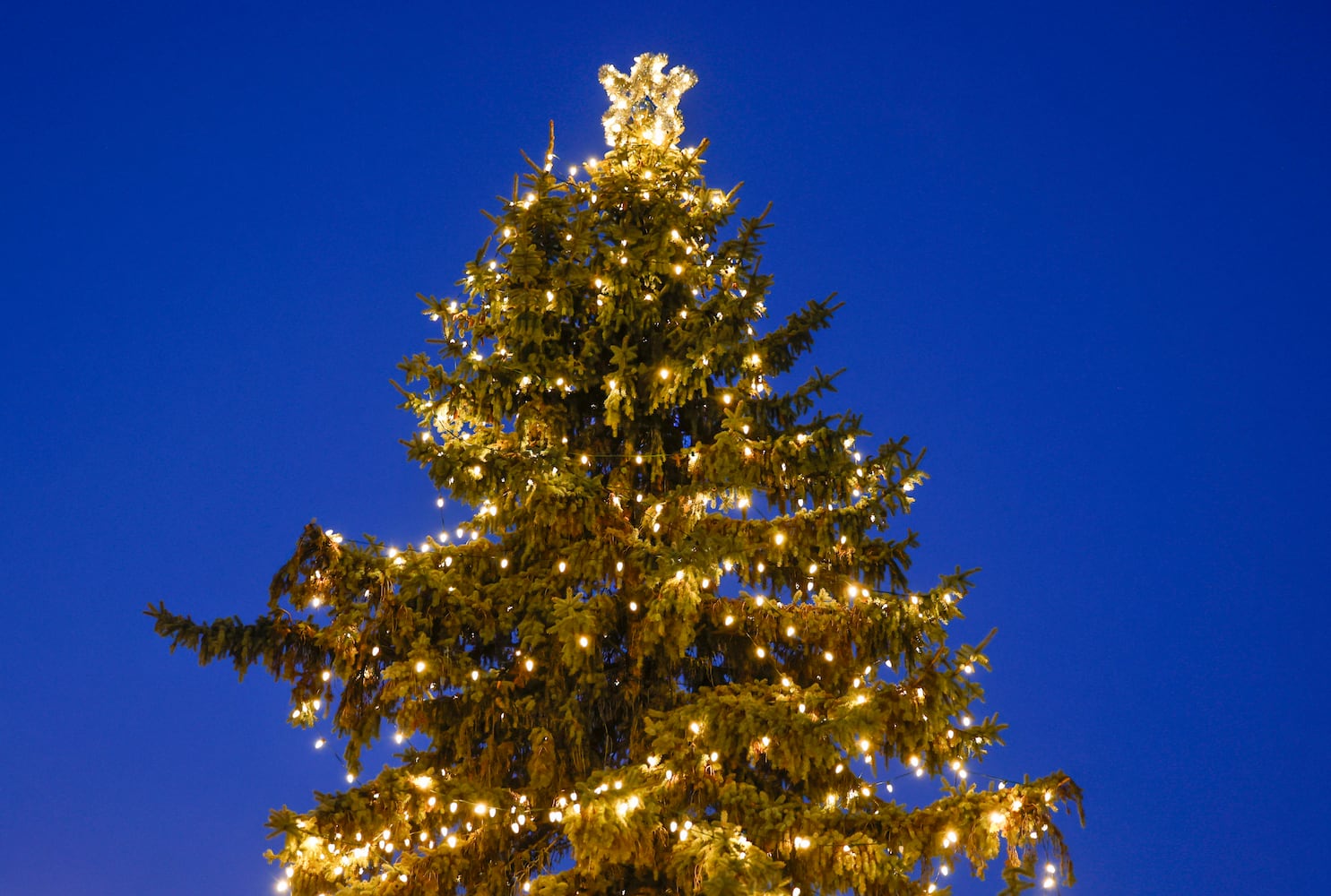 Christmas decorations in downtown Springfield