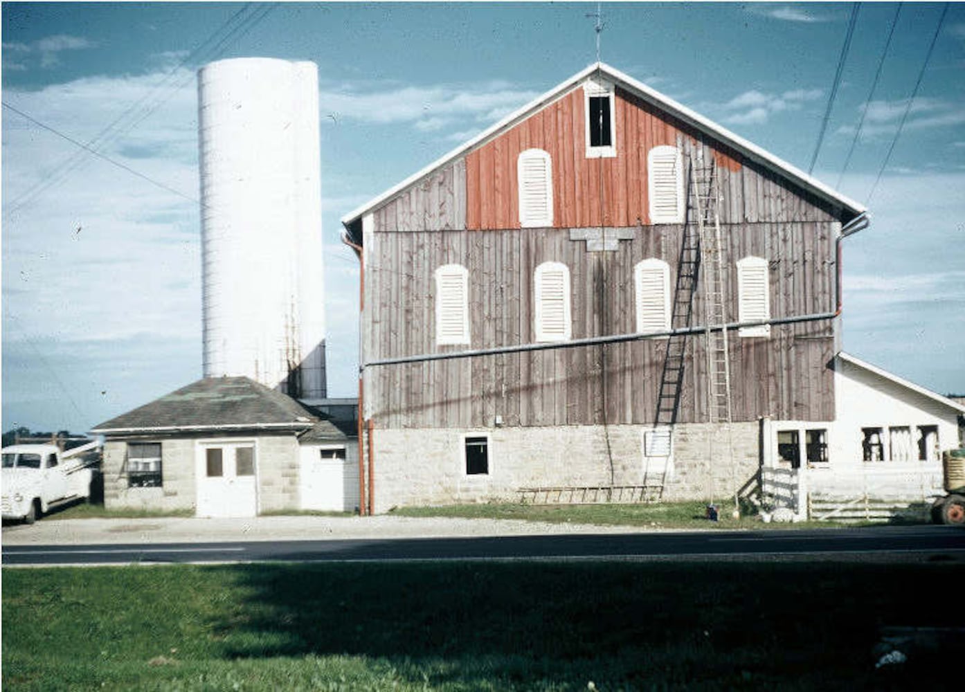 Young's Jersey Dairy