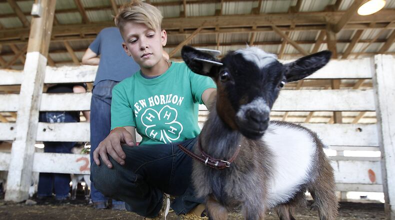 Will Stott, 12, pets his pygmy goat after showing the tiny animal Monday at the Clark County Fair. Bill Lackey/Staff