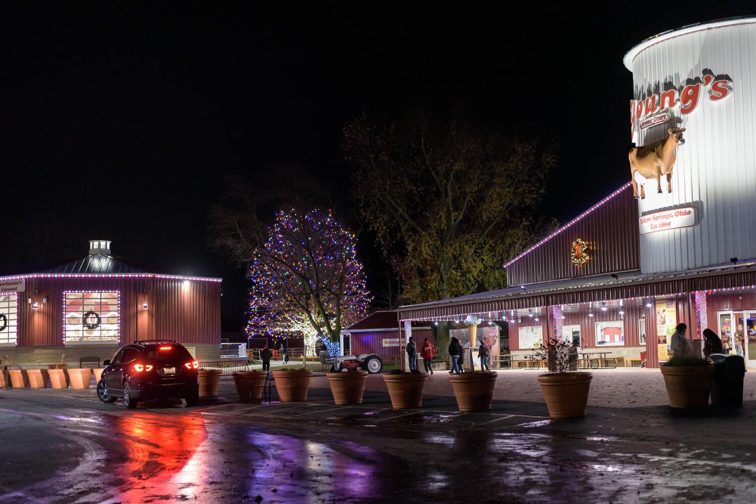 PHOTOS: Barnabe's Buckeye Tree Lighting Ceremony at Young's Jersey Dairy
