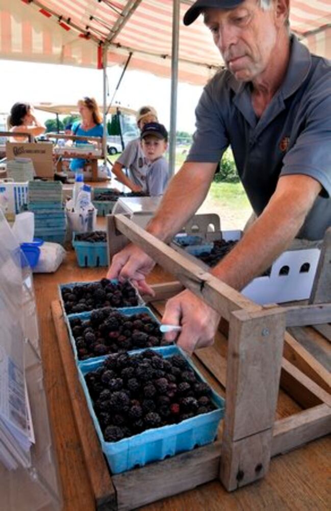 Berry Farm thrives in Champaign