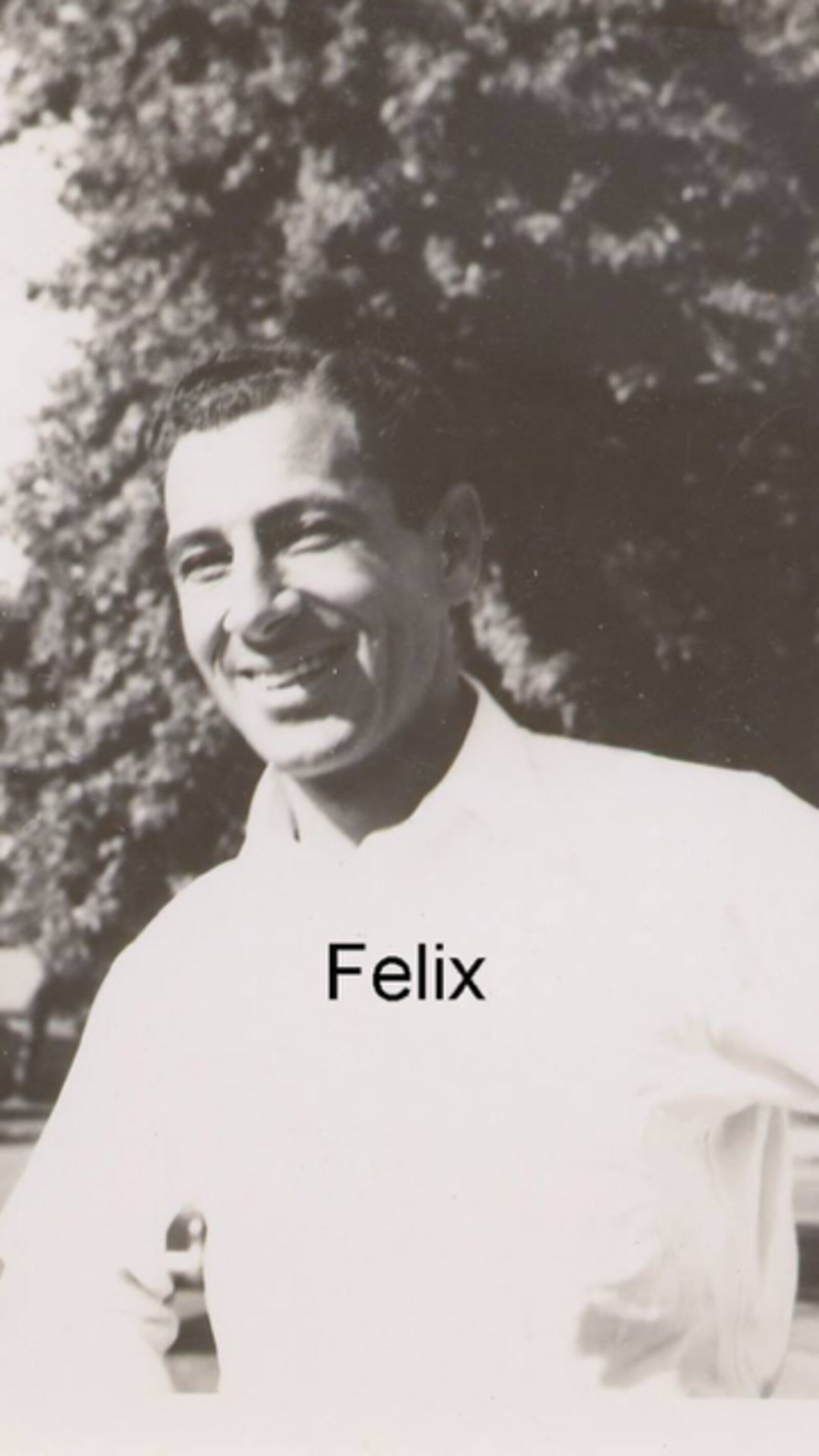 Eldest son Felix Calabrese studied cooking at Cornell and in Italy before selling pizza pies in Springfield. (Photos courtesy of Mike Calabrese)