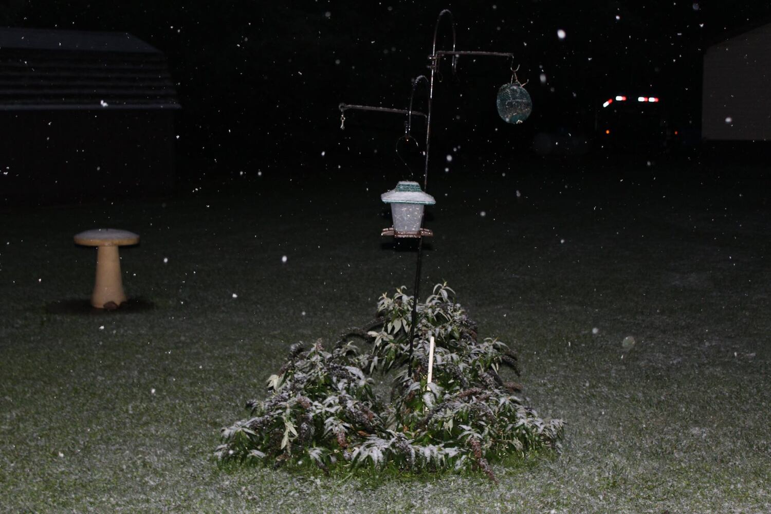 Photos: First Snowfall