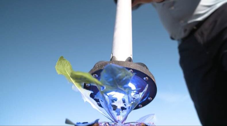 A Global Neighbor image of an early company commercial product -- a handheld direct energy tool, now called the Weederase. This handheld product is licensed to Viatek Consumer Products Group and being sold in online and catalog retailers.