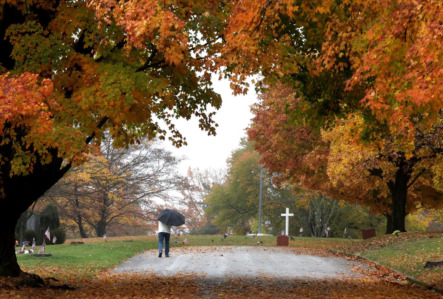 Clark County Fall Colors