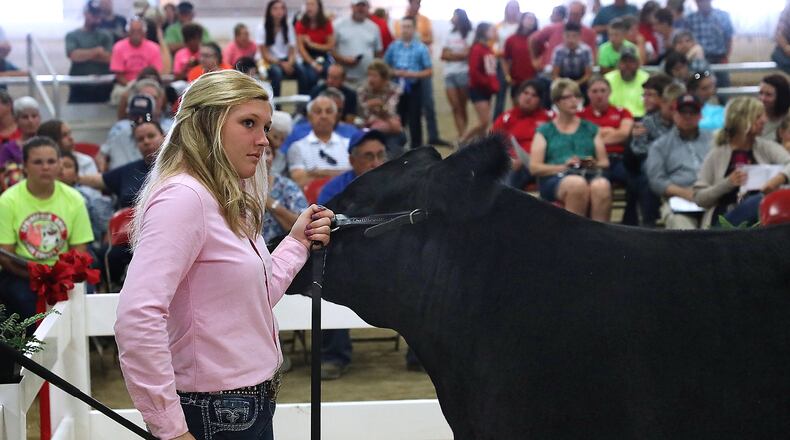 Mackenzie Grimm, 16, holds her Grand Champion Steer as she listens to the auctioneer during the Auction of Champions at the 2018 Clark County Fair. BILL LACKEY/STAFF