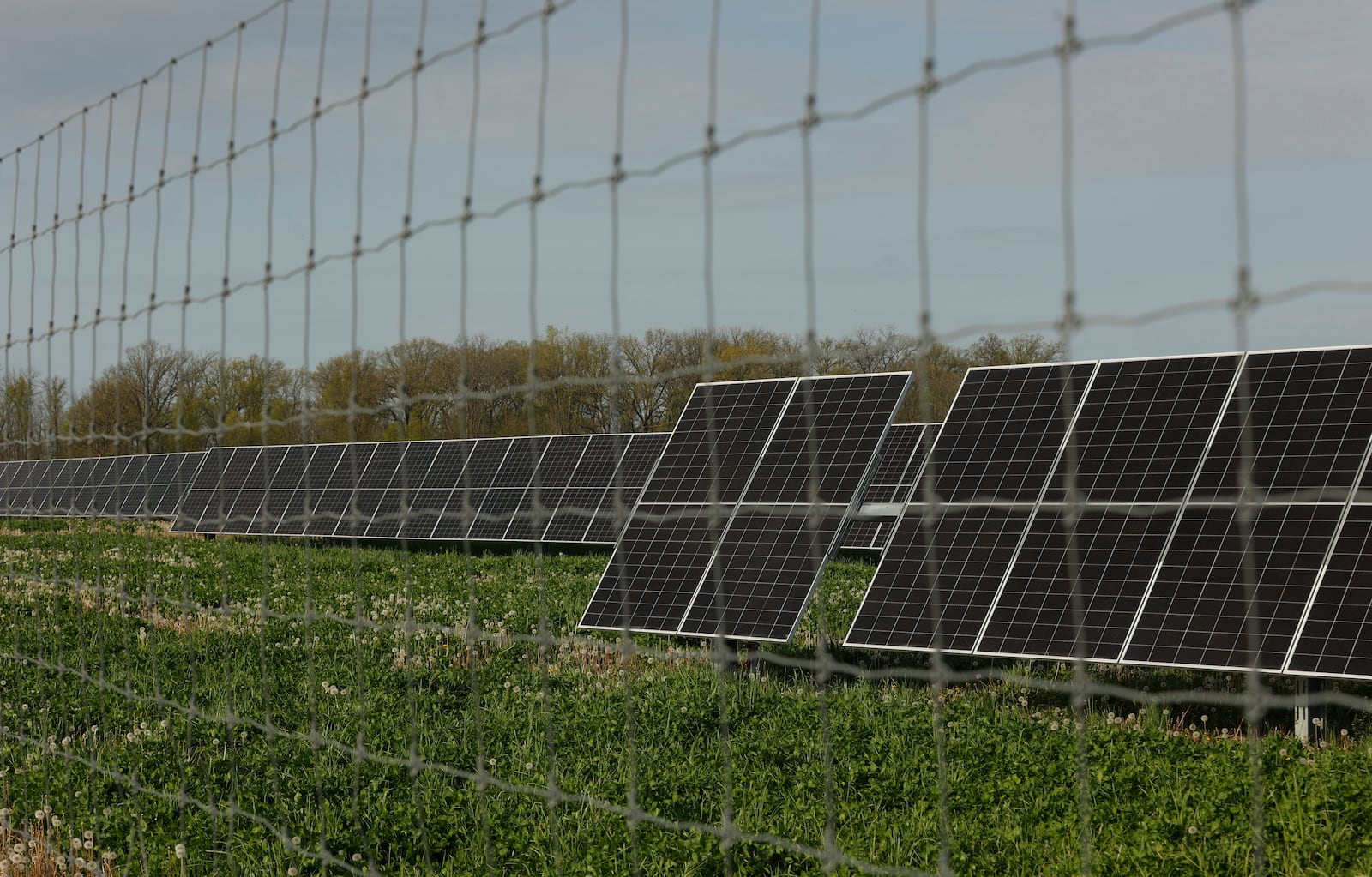 Solar panels sit behind a fence on Wednesday, April 30, 2025, at the Madison Fields Solar Project. JOSEPH COOKE/STAFF

